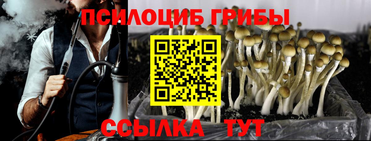 Галлюциногенные грибы Psilocybine cubensis Качканар